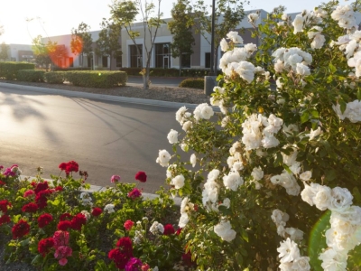 Palomar Forum Business Park