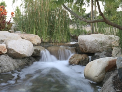 Palomar Forum Business Park